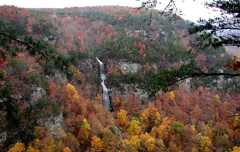 克蘭蘭峽谷州立公園，上升的小鹿