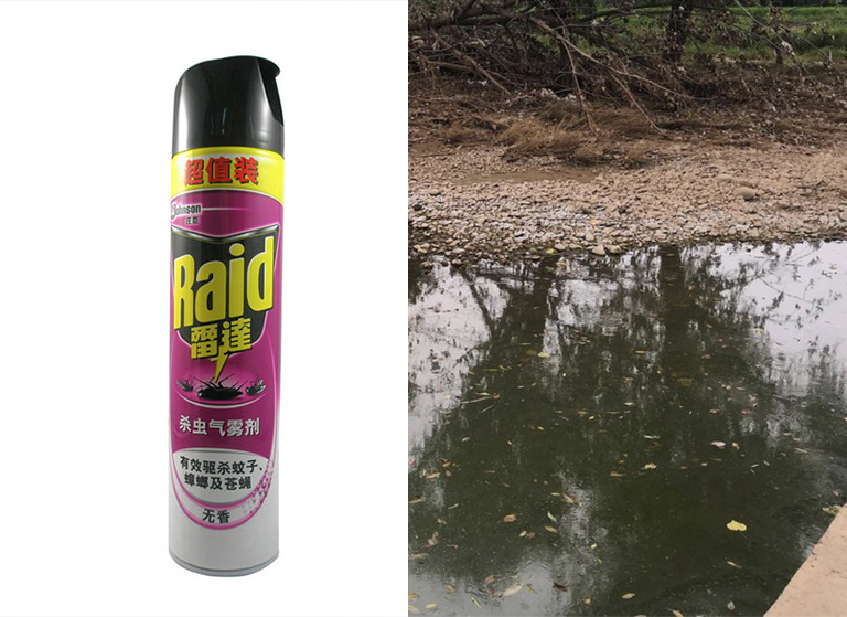 殺蟲(chóng)劑和死水